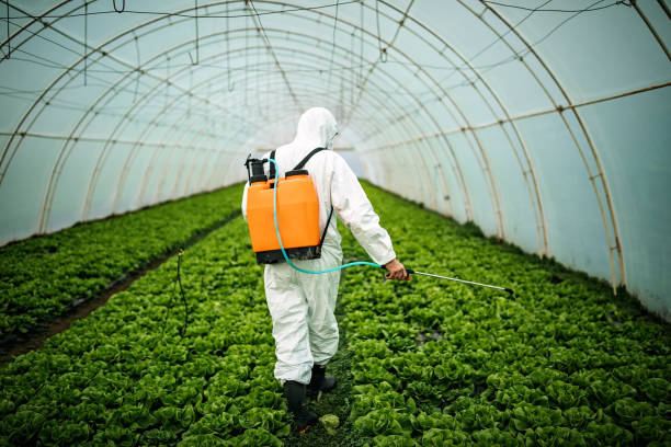 Best Emergency Pest Control  in Cedar Grove, WI