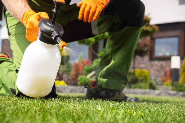Best Flea Control Services  in Cedar Grove, WI