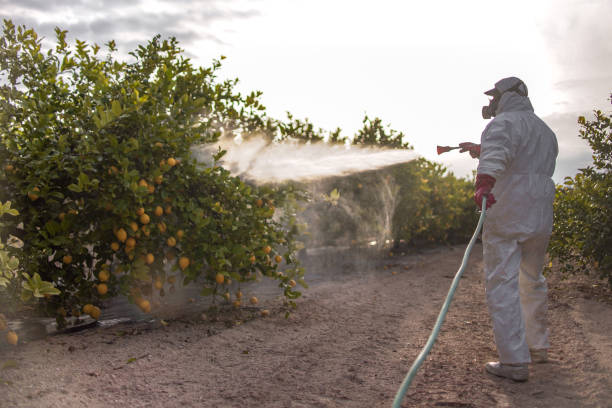 Best Pest Prevention Services  in Cedar Grove, WI
