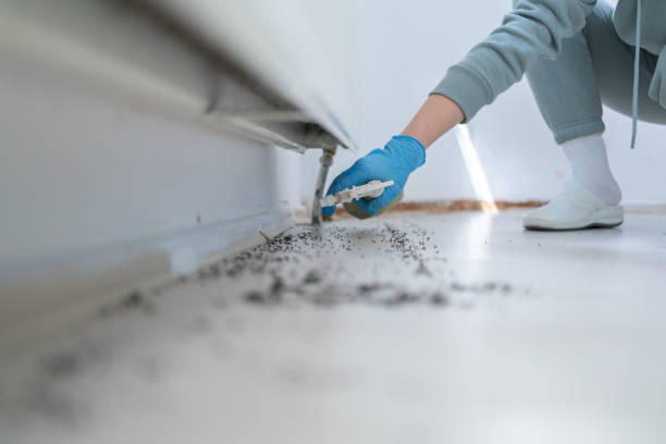 Pest Control Cost in Cedar Grove, WI